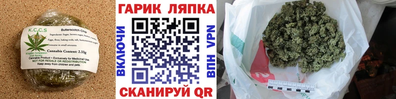 Canna-Cookies марихуана  Венёв 
