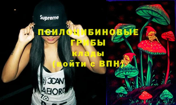 дживик Алексеевка