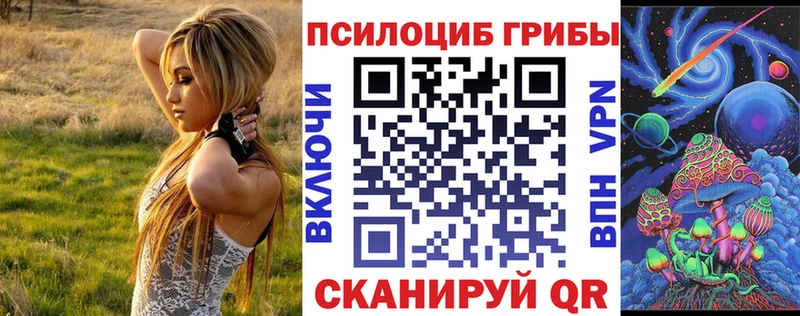 ОМГ ОМГ ONION  Венёв  Псилоцибиновые грибы мухоморы  площадка как зайти  где купить  